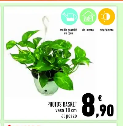 Photos basket