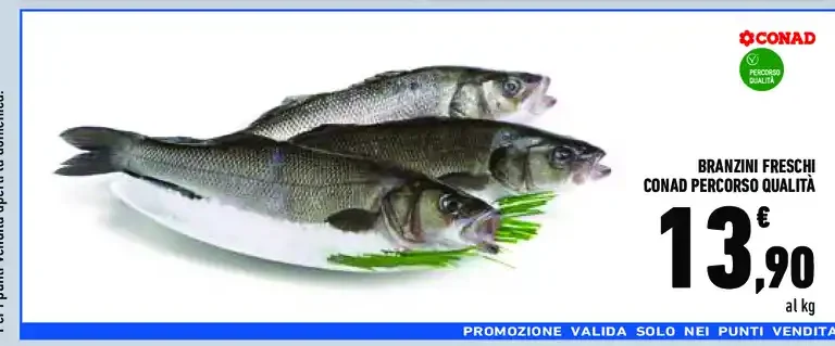 Branzini freschi Conad Percorso Qualità