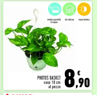 Photos basket