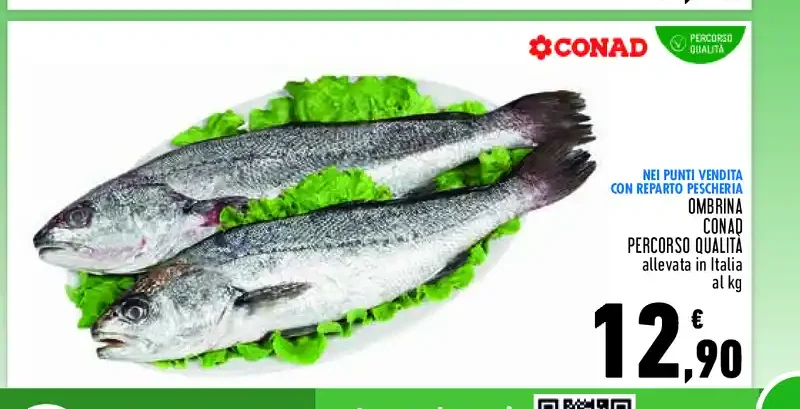 Ombrina Conad