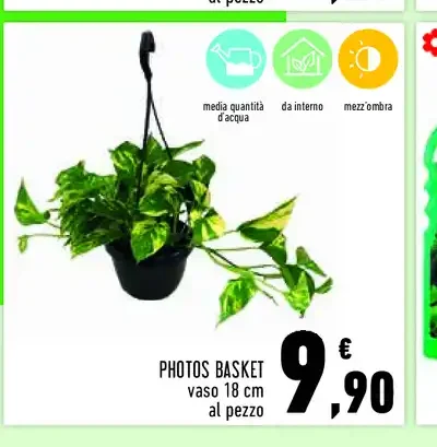 Photos basket