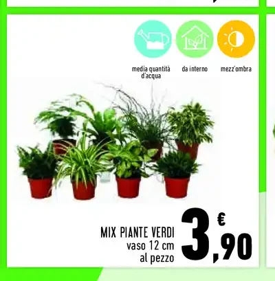 Mix piante verdi