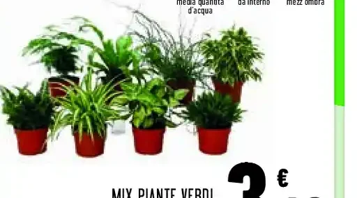 Mix piante verdi