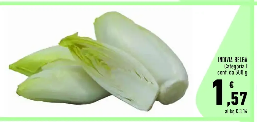 Indivia belga