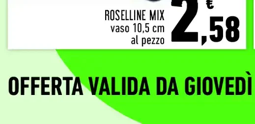 Roselline mix