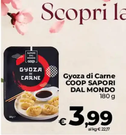 Gyoza di carne