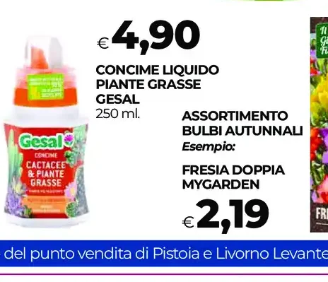 Concime liquido piante grasse Gesal