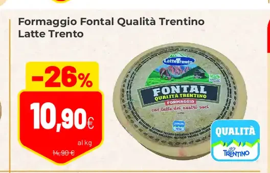 Formaggio Fontal Qualità Trentino Latte Trento