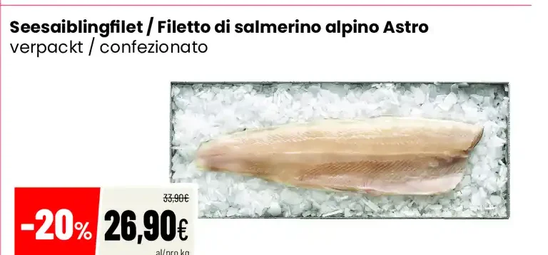 Filetto di salmerino alpino Astro