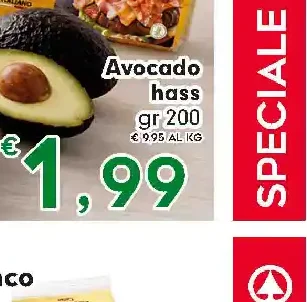 Avocado hass