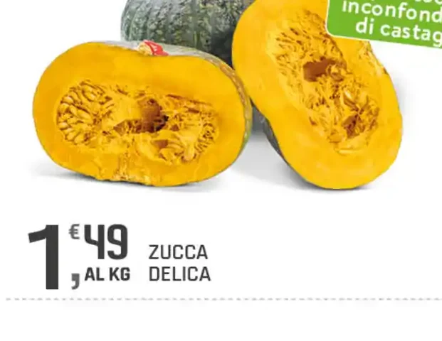 Zucca Delica