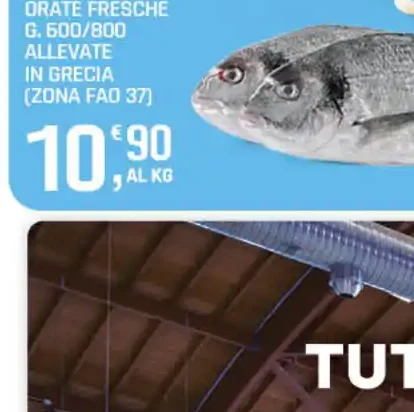Orate fresche
