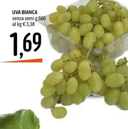 Uva bianca