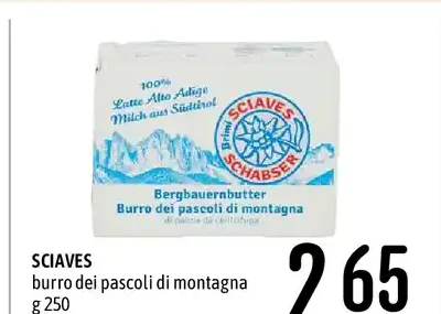 Burro dei pascoli di montagna
