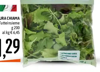 Insalata Tutteinsieme