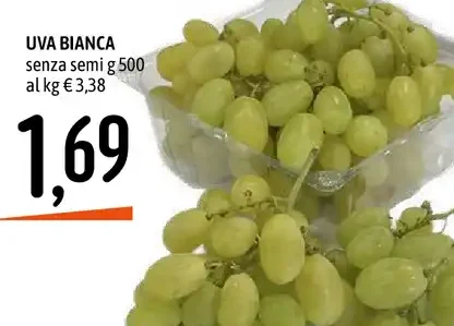 Uva bianca