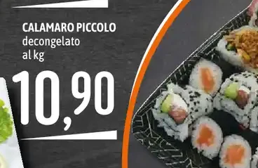 Calamaro piccolo