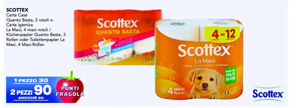 Carta casa Scottex