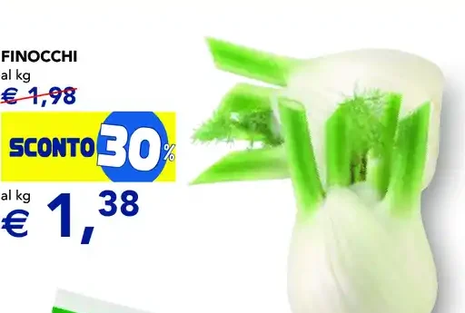 Finocchi