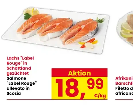 Salmone scozzese