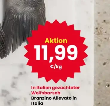 Branzino allevato in Italia