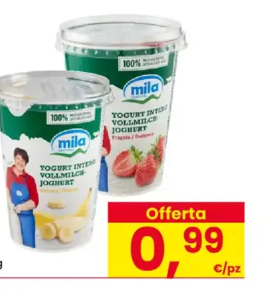 Yogurt intero assortito