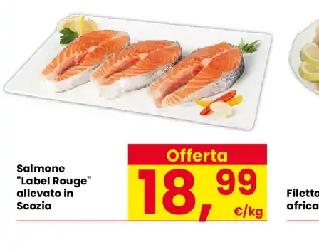 Salmone Label Rouge allevato in Scozia