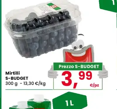 Mirtilli S-Budget