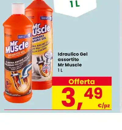 Idraulico Gel assortito Mr Muscle