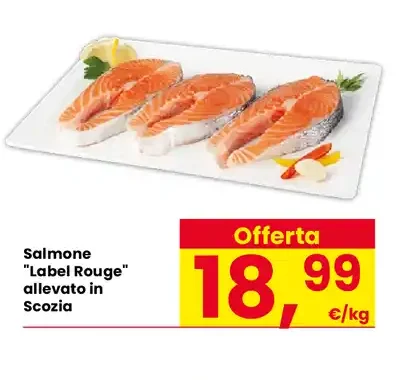 Salmone Label Rouge allevato in Scozia