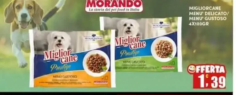 Miglior Cane umido