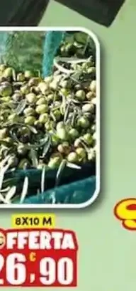 Rete raccolta olive