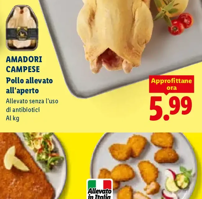 Pollo allevato all'aperto