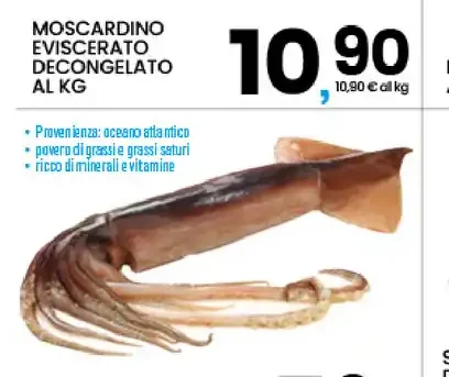 Moscardino eviscerato decongelato