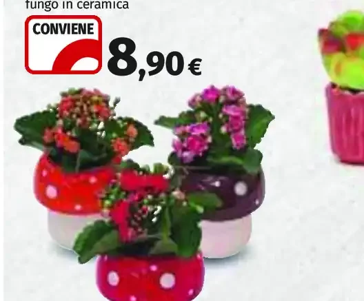 Composizione floreale