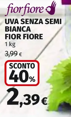 Uva senza semi bianca Fior Fiore
