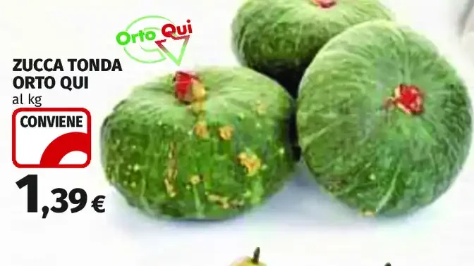 Zucca tonda Orto Qui