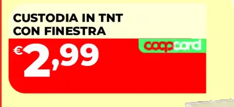 Custodia in TNT con finestra