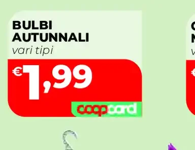 Bulbi autunnali