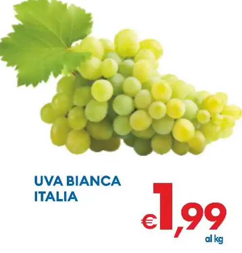 Uva bianca Italia