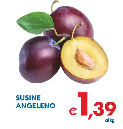 Susine Angeleno