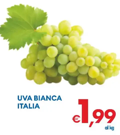 Uva bianca Italia