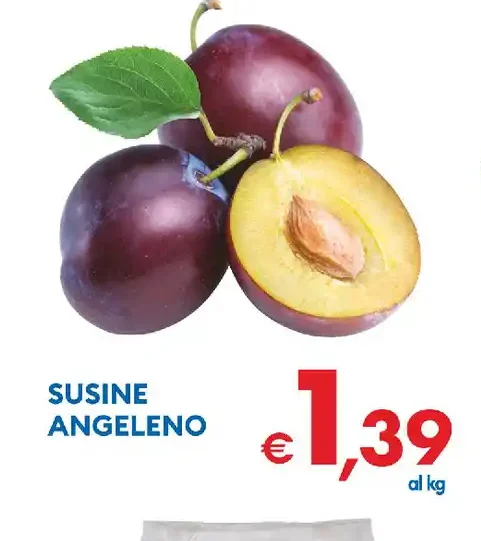 Susine Angeleno