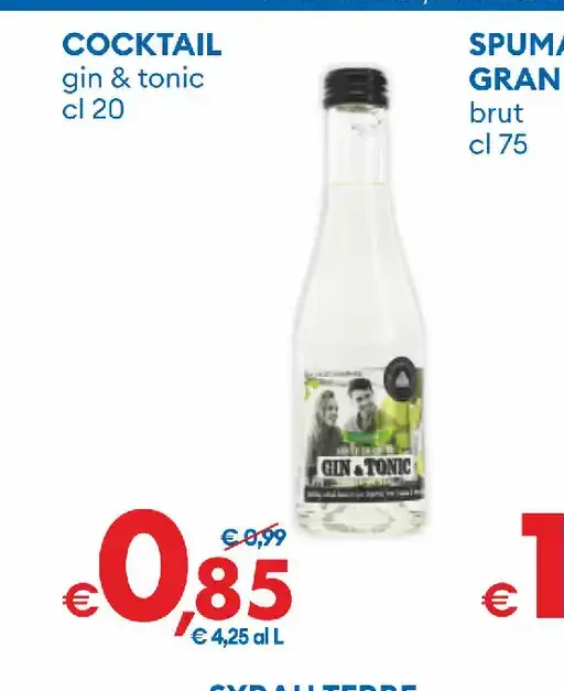 Cocktail gin & tonic