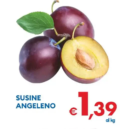 Susine Angeleno