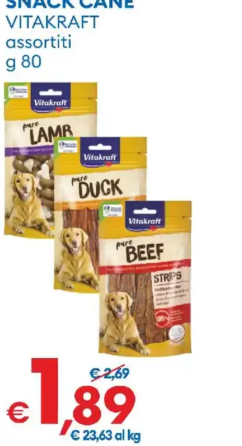 Snack cane assortiti