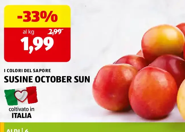 Susine October Sun