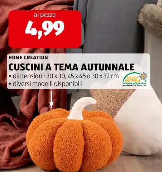 Cuscini a tema autunnale