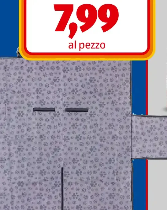Accessori protezione auto