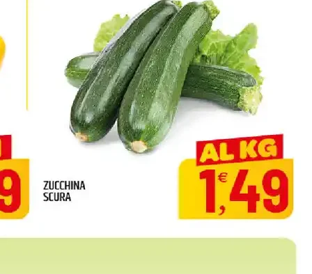 Zucchina scura